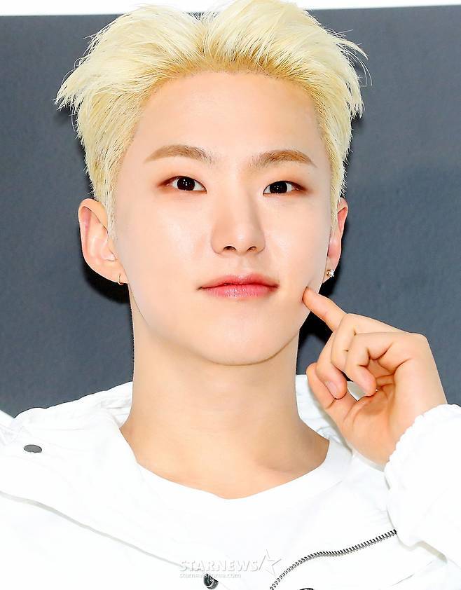 그룹 세븐틴 멤버 호시 /사진=스타뉴스