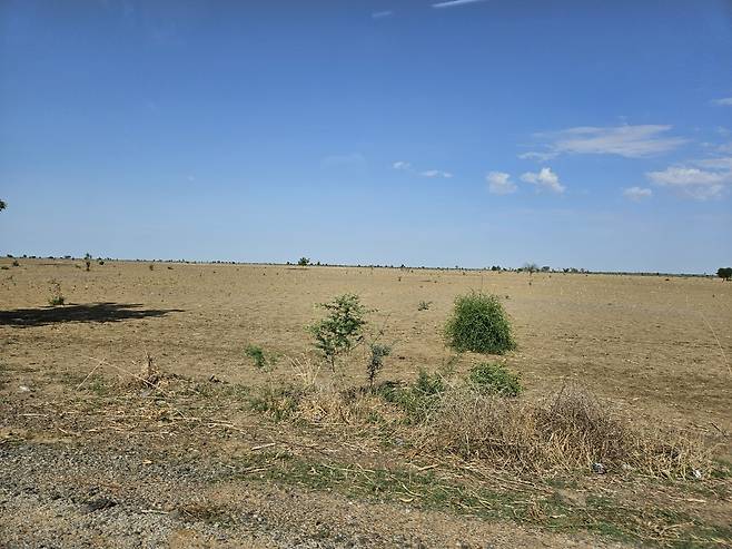 카메룬 마루아 공항 주변 풍경 (마루아<카메룬>=연합뉴스) 노재현 기자 = 지난 9일(현지시간) 카메룬 최북단주 마루아 공항 주변의 황량한 땅. 2025.6.24 nojae@yna.co.kr