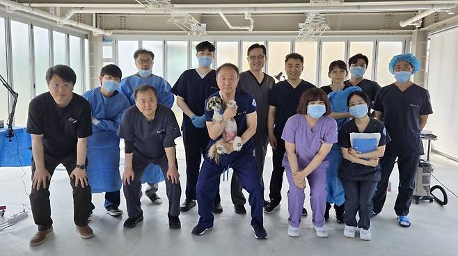 로얄동물메디컬그룹 의료진이 최근 경기도 이천에 위치한 CRK 보호소르 방문해 정기 수의료봉사를 진행했다(CRK 제공). ⓒ 뉴스1