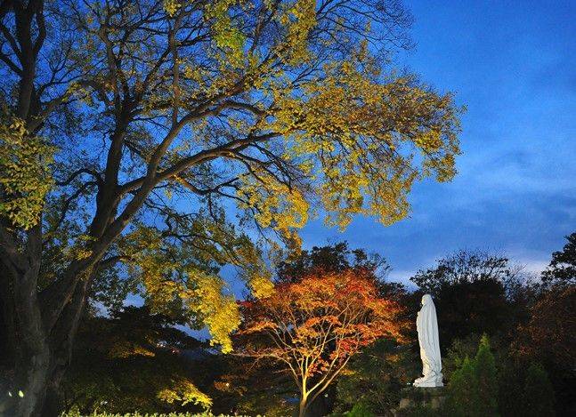 공세리성당의 밤 풍경 ⓒ