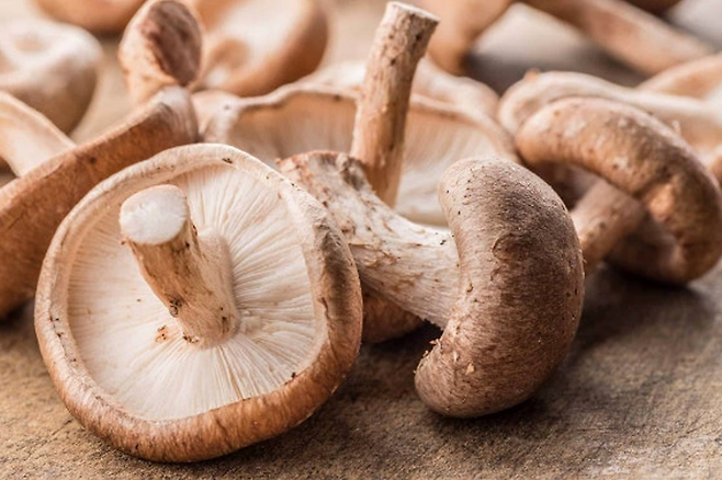 표고버섯