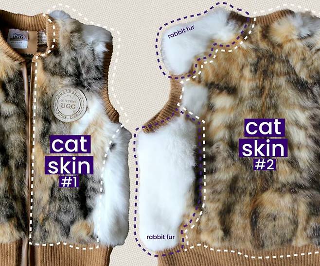 호주 멜버른의 한 쇼핑몰에서 '양털 조끼'로 판매된 제품이지만, 조사 결과 실제로는 고양이 가죽과 토끼털로 만들어진 것으로 확인됐다. /콜렉티브 패션 저스티스 인스타그램