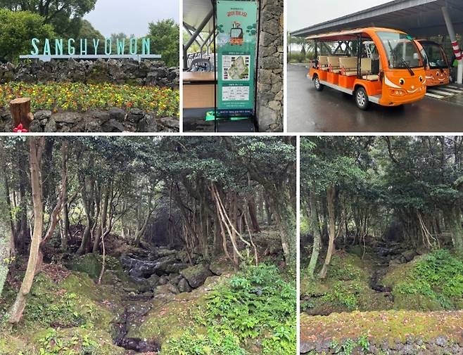 제주 최초 사립수목원 상효원 / 사진=홍지연 여행+ 기자