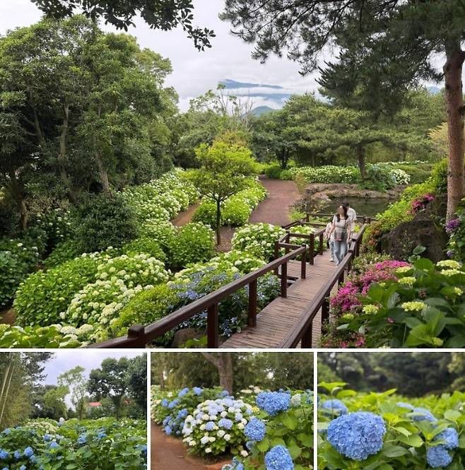 휴애리 자연생활공원 / 사진=홍지연 여행+ 기자