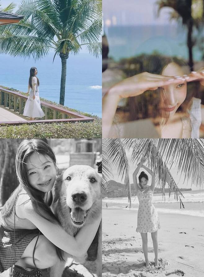 조이 소셜 계정 캡처