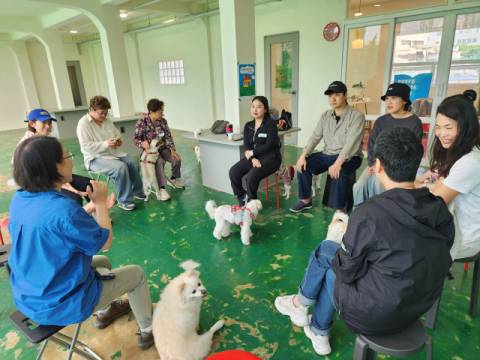 지난 1일 부산 수영구에서 유기 동물의 ‘임보’나 입양에 관심이 있는 사람들이 ‘포씨블 홈’이란 이름으로 모였다.