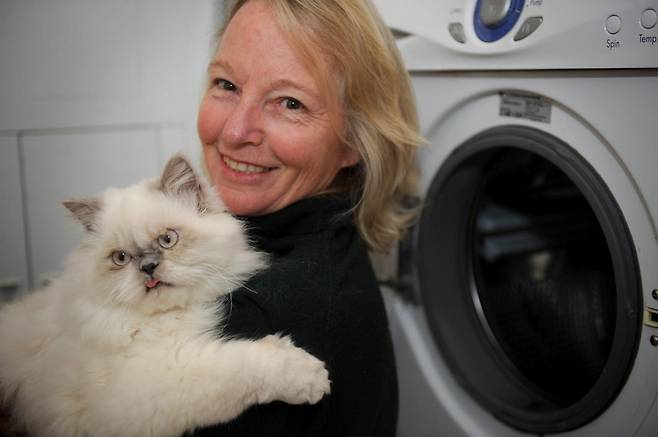 호주에서 생후 9개월 된 고양이가 세탁기 안에서 1시간가량 갇혀 찬물과 세제가 순환되는 세탁 과정을 견디며 중태에 빠졌지만, 즉시 병원 치료를 받아 건강을 대부분 회복했다. 전문가들은 드럼세탁기 사용 전 내부 확인의 중요성을 강조했다. (자료사진=게티이미지코리아)