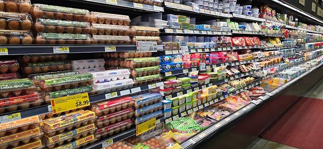 /사진=심재현 특파원