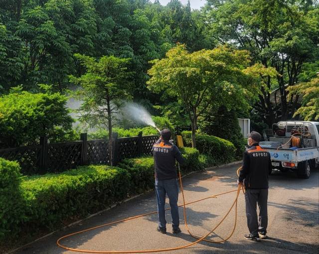 사진=마포구 제공