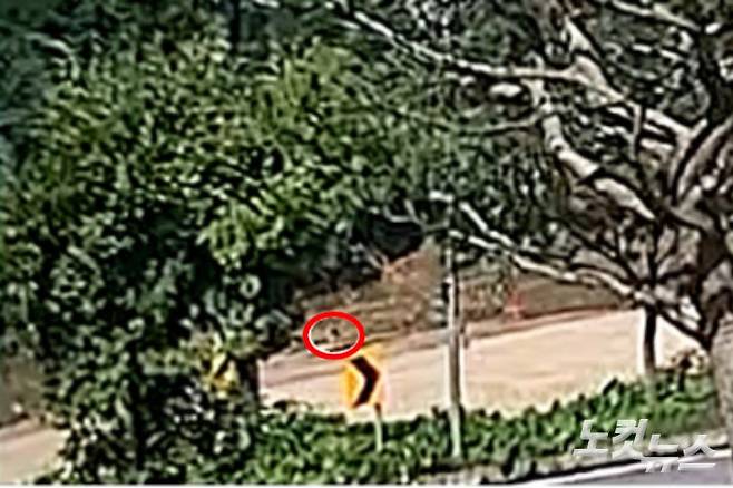 고(故) 채수근 상병의 2년 전 사고 상황이 담긴 영상을 CBS노컷뉴스가 최초로 입수했다. 채상병으로 보이는 한 해병대원(빨간색 원)이 급류에 휩쓸리는 듯한 모습이 목격된다. 수색 작업에 나선 대원들은 안전 장비를 갖추지 않았고, 거리도 서로 떨어져 있어 구조가 어려웠다.