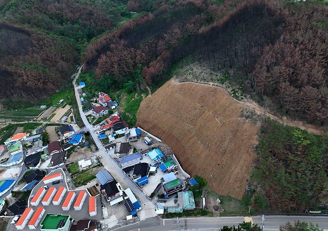 29일 오후 영덕군 영덕읍 대탄리의 모습. 불에 탄 나무를 베어낸 자리에는 낙석방지를 위한 그물이 설치되어 있고, 조금 떨어진 곳에 주황색 지붕의 이재민 임시 주택이 보인다.