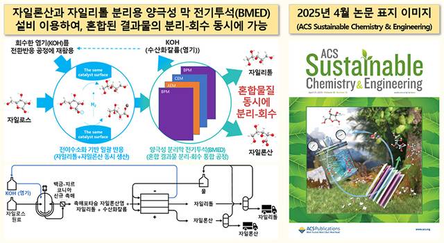 자일론산과 자일리톨 분리용 양극성 분리막 전기투석 모식도 및 논문 표지 이미지 화학연 제공