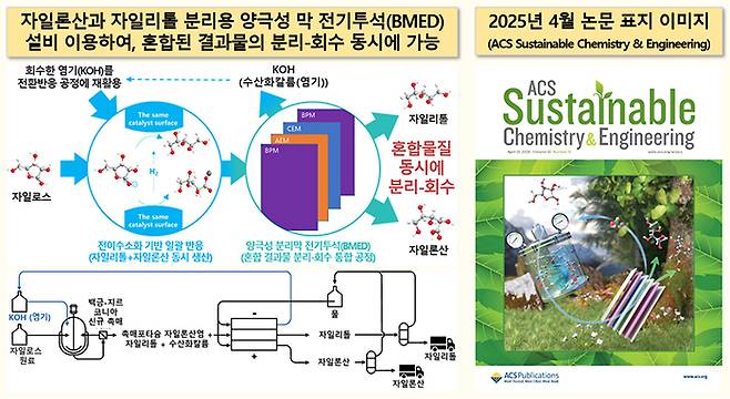 자일론산·자일리톨 분리용 양극성 분리막 전기투석(BMED) 모식도와 관련 논문 표지 이미지
