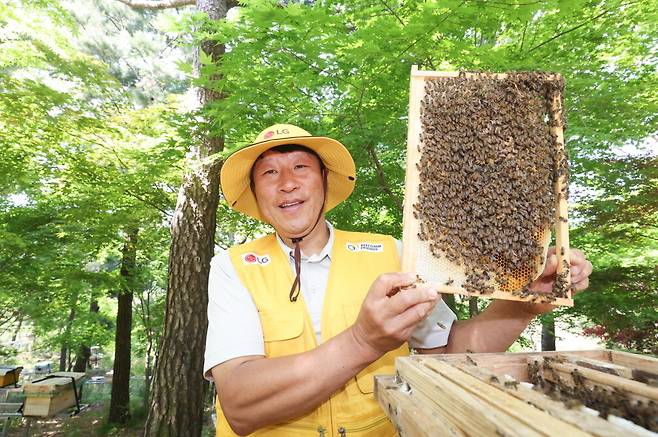 LG가 조성한 토종 꿀벌 서식지에서 김대립 명인이 꿀벌통을 들어 보이고 있다.