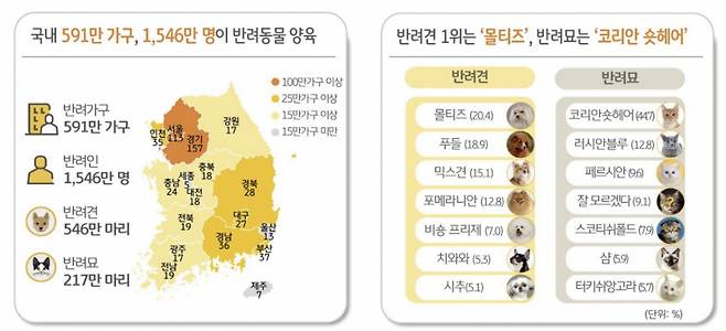 KB금융그룹 '2025 한국 반려동물 보고서'./사진제공=KB금융그룹