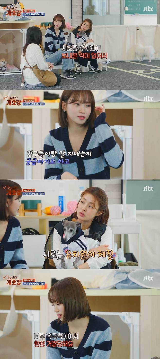 JTBC ‘집 나가면 개호강’ 캡처