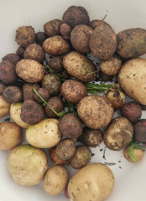 /사진=서하얀 SNS