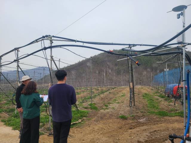 청송지역 한 과수농가에서 미온수 미세살수 시범을 진행하는 모습. 청송군 제공