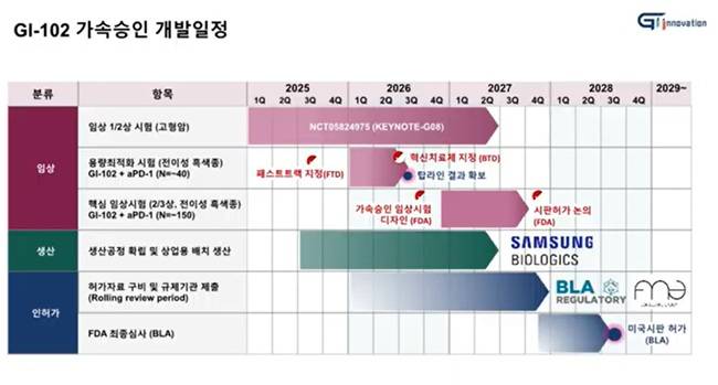 GI-102와 키트루다 병용요법 가속승인 개발일정. /이미지=온라인 간담회 캡쳐