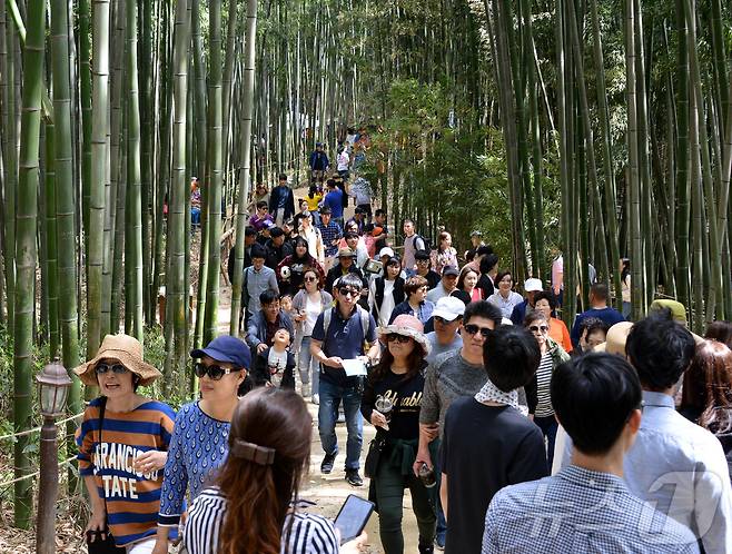 죽녹원 인파.(담양군 제공. 재배포 및 DB 금지)