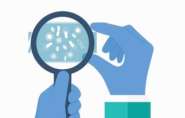 ⓒ게티이미지뱅크