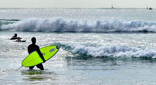 호주의 한 해변에서 서퍼가 파도를 탈 준비를 하고 있습니다. 오늘처럼 무덥고 습한 날이면 시원한 파도에 몸을 던지고 싶다는 생각을 하게 됩니다. 한주형 기자