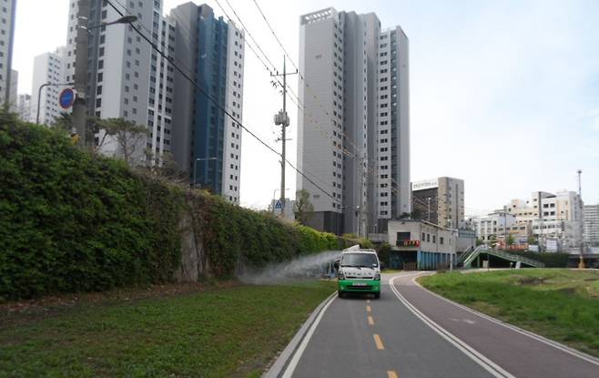 도시 곳곳 출몰하는 러브버그 방역 작업 모습./사진제공=광명시