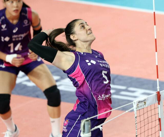 2024-2025시즌의 피치./흥국생명