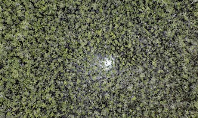 6월29일 미국 플로리다주 열대 습지인 에버글레이즈에 문을 여는 새 이민자 구금시설 주변을 상공에서 무인기로 찍은 모습. 로이터 연합뉴스