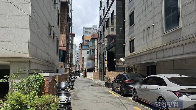 사진=유지희 기자