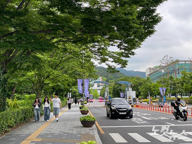 전라남도 소재 한 국립대 캠퍼스 모습. 통계청 집계에 따르면 지난 10년간 비수도권에서 수도권으로 이동한 청년은 약 71만명에 달한다. 순천=최보금 기자