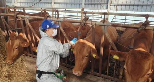 기사와 관련없는 자료사진. 연합뉴스