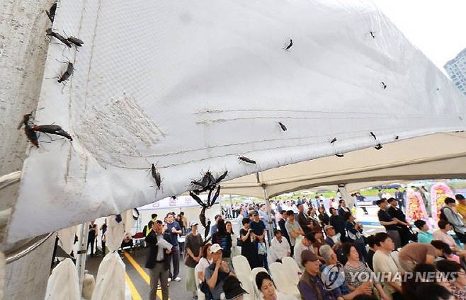 사진 출처=연합뉴스