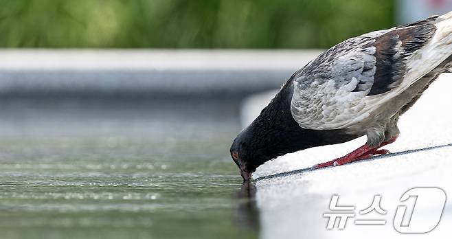 자료사진/뉴스1 ⓒ News1