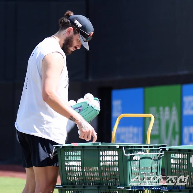 세심하게 공을 골라 글러브에 담는 폰세