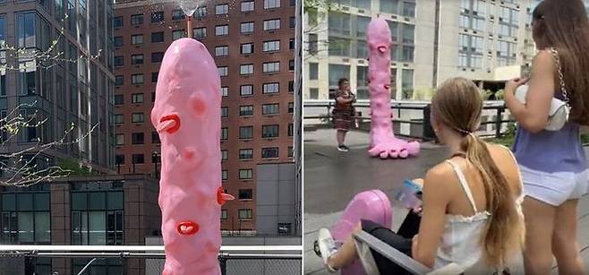 ⓒ뉴욕포스트 갈무리