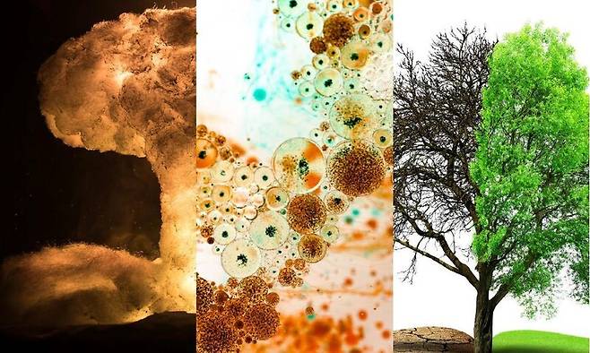 미국 국가 안보 문제를 연구하는 랜드연구소가 인공지능에 의한 인류 멸종 가능성을 진단하는 보고서를 내놨다. 랜드연구소 제공