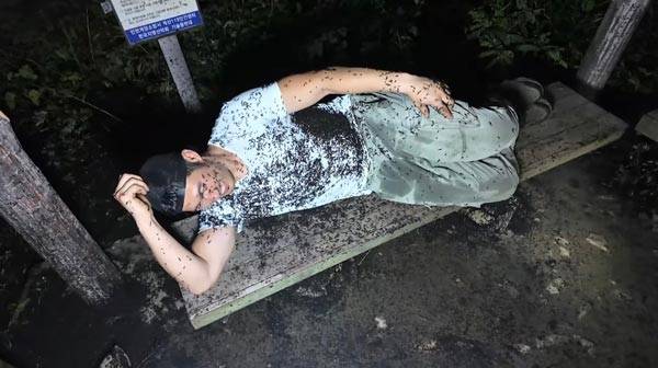 한 유튜버가 계양산에 러브버그가 얼마나 많은지 보고자 올린 영상의 한 장면이다./유튜브 채널 '이충근' 캡처