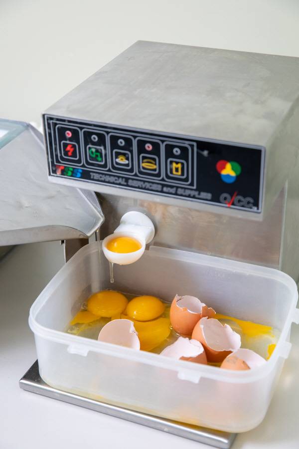 축산물품질평가원의 계란 등급 판정 모습.