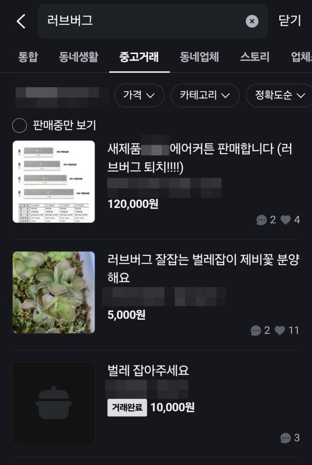 중고거래 플랫폼 당근에 러브버그 퇴치 물품 판매와 요청 게시글이 올라와 있다.