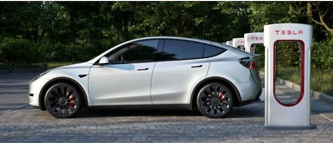 테슬라 모델 Y./사진=테슬라