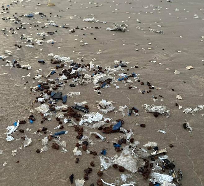 멕시코 북동부 타마울리파스주 북부 바그다드 해변에 떨어져 있는 ‘스타십’의 폭발 잔해물. 코니비오 글로벌