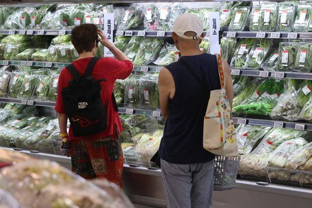지난달 30일 서울 대형마트에서 시민들이 채소를 고르고 있다. 연합뉴스