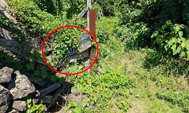 도로명 주소가 덤불에 가려져 있는 모습 (제주시 제공)