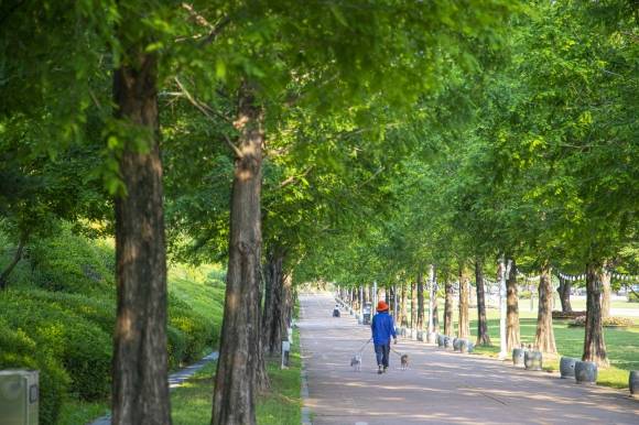안성맞춤랜드 같이파크