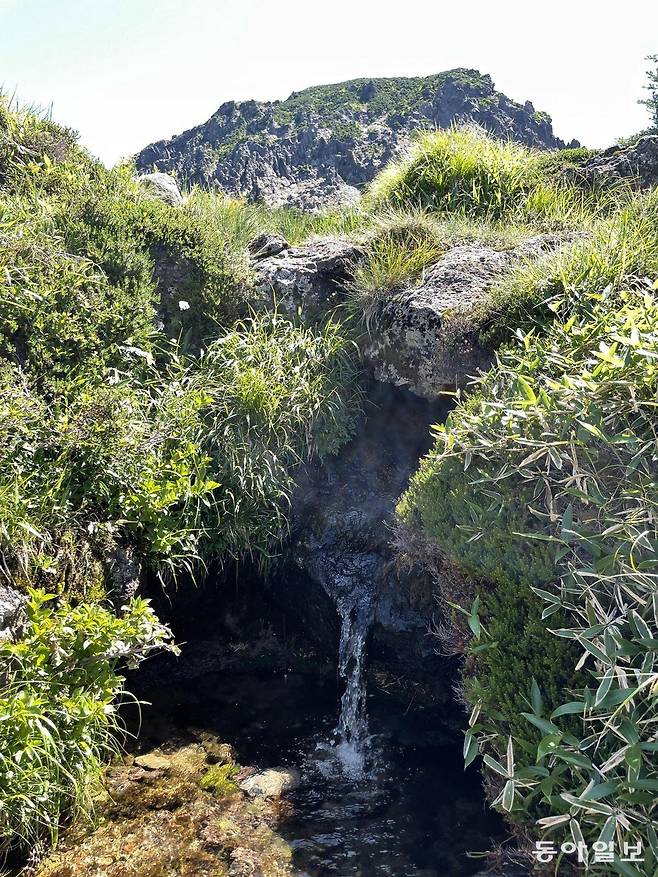 5일 한라산 백록샘에서 시원한 물줄기가 흐르고 있다. 서귀포=송은범 기자 seb1119@donga.com