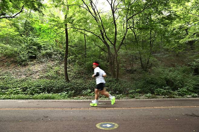 폭염이 쏟아져도 끄떡없는 곳이 숲이다. 하늘을 가리다시피 한 나뭇가지와 잎들이 더위를 막아준다. 남산둘레길도 마찬가지. 이른 아침에 달리기에 나선 이들이 한둘이 아니다. 박미향 기자