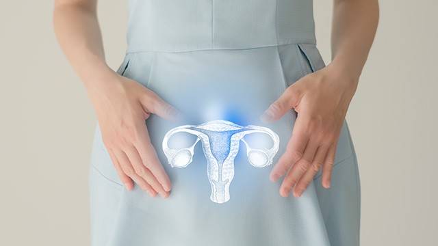 난소 건강은 여성의 전신건강과 밀접하게 연관되어 있다|출처: 게티이미지뱅크