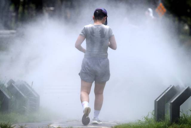 사진은 기사 내용과 무관함. 뉴스1