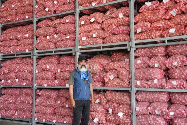 수확한 마늘을 흐뭇하게 바라보는 염만규 공주유황꽃마늘생산자협의회 회장 모습.사진=김익환 기자